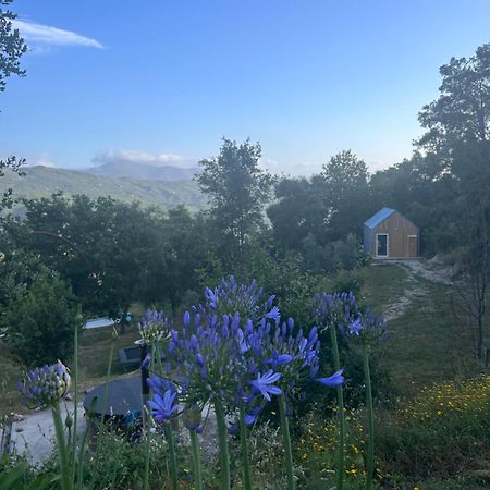 Вилла Monkey Tiny Barnhouse With Amazing Views! Folhadosa Экстерьер фото