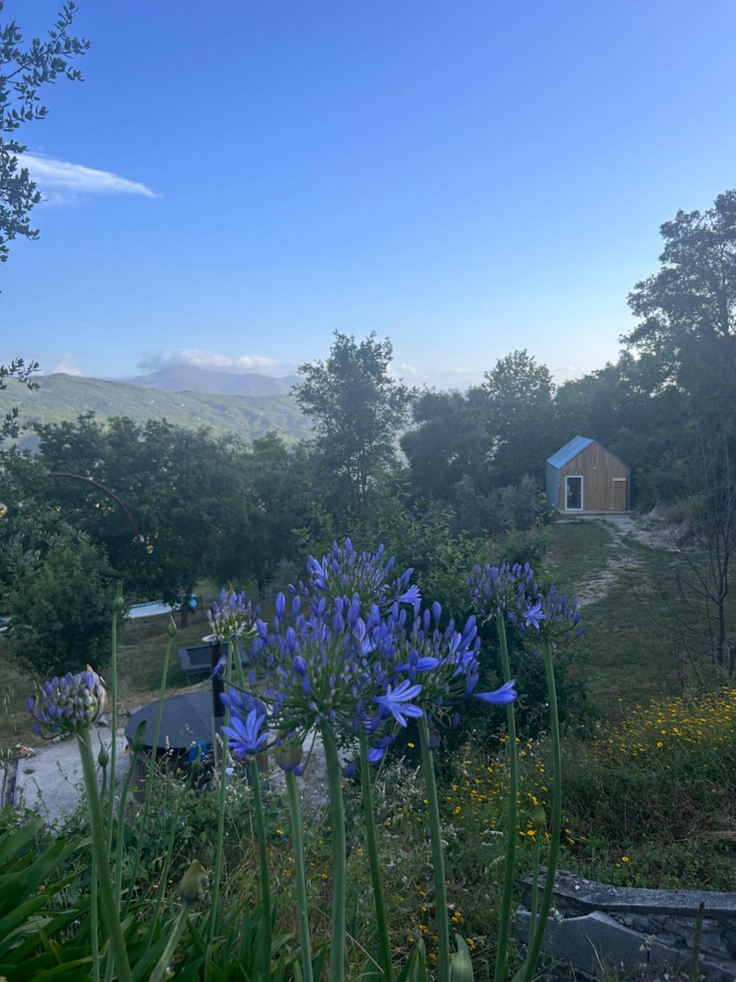 Вилла Monkey Tiny Barnhouse With Amazing Views! Folhadosa Экстерьер фото