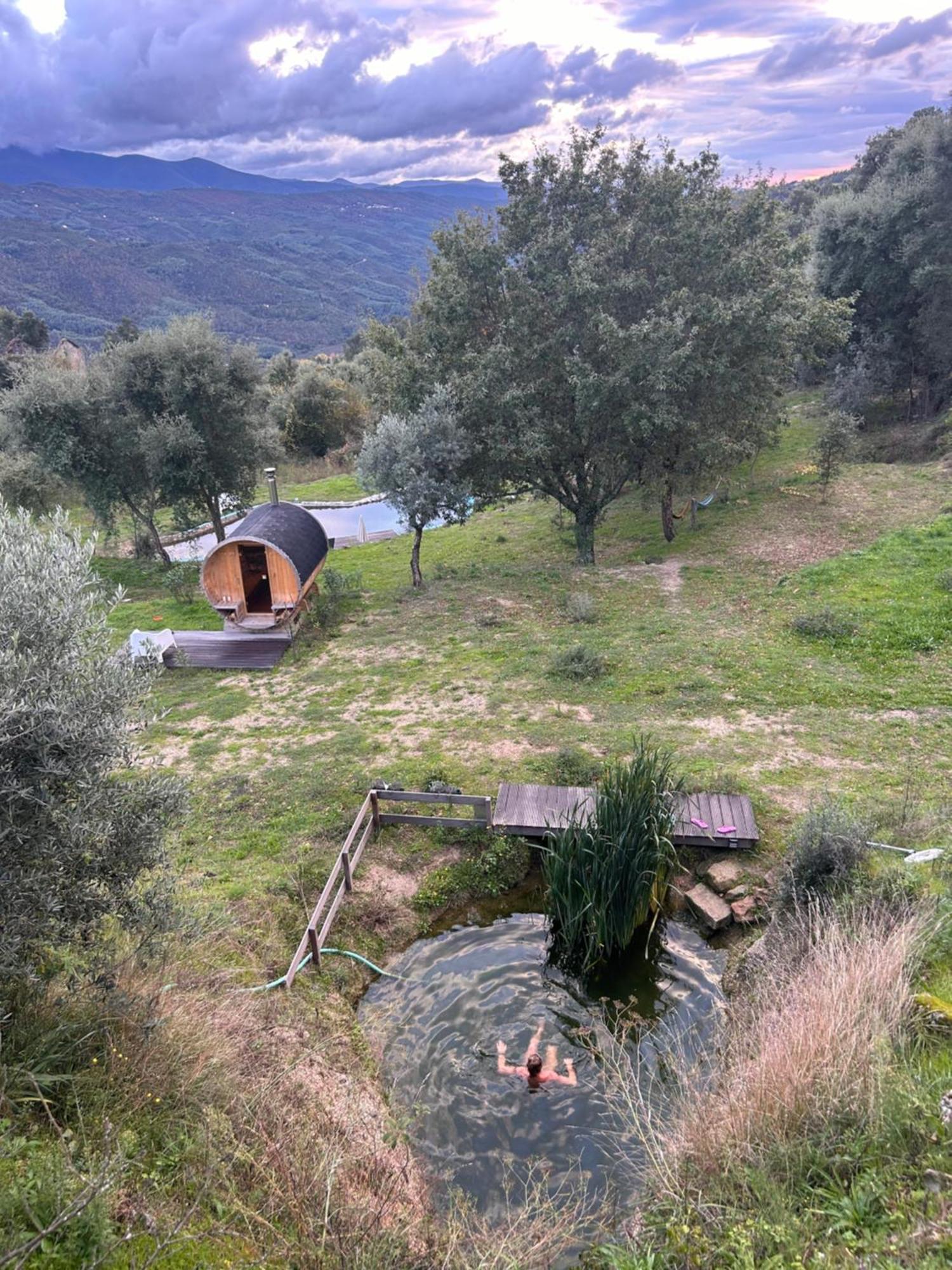 Вилла Monkey Tiny Barnhouse With Amazing Views! Folhadosa Экстерьер фото