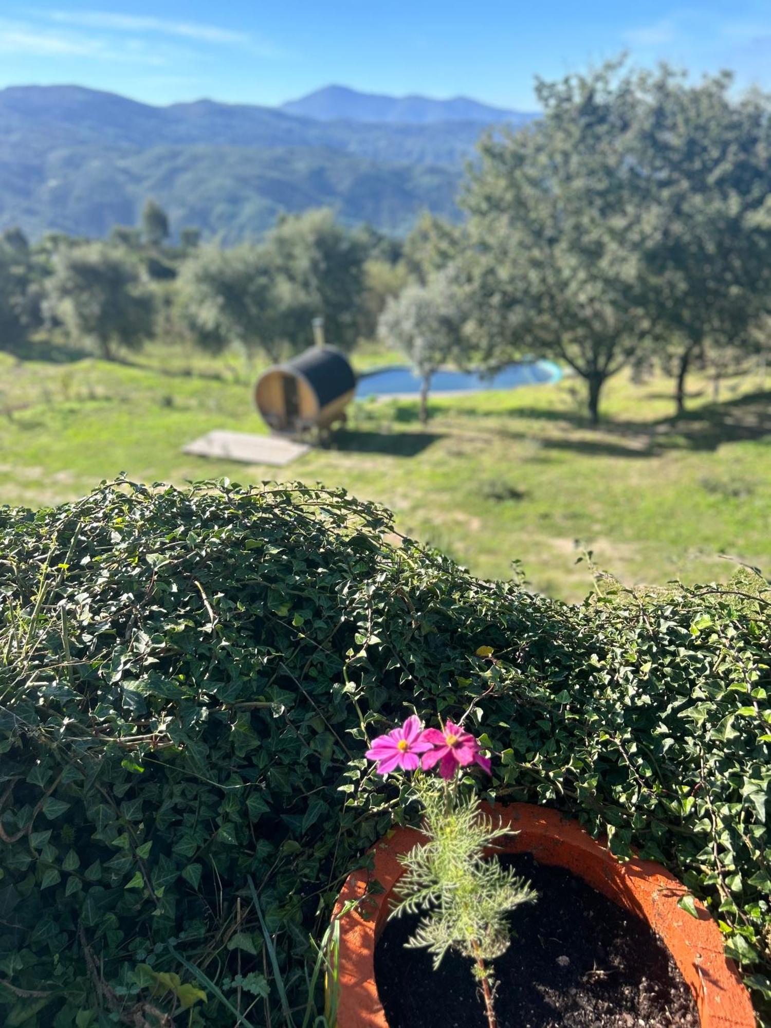 Вилла Monkey Tiny Barnhouse With Amazing Views! Folhadosa Экстерьер фото