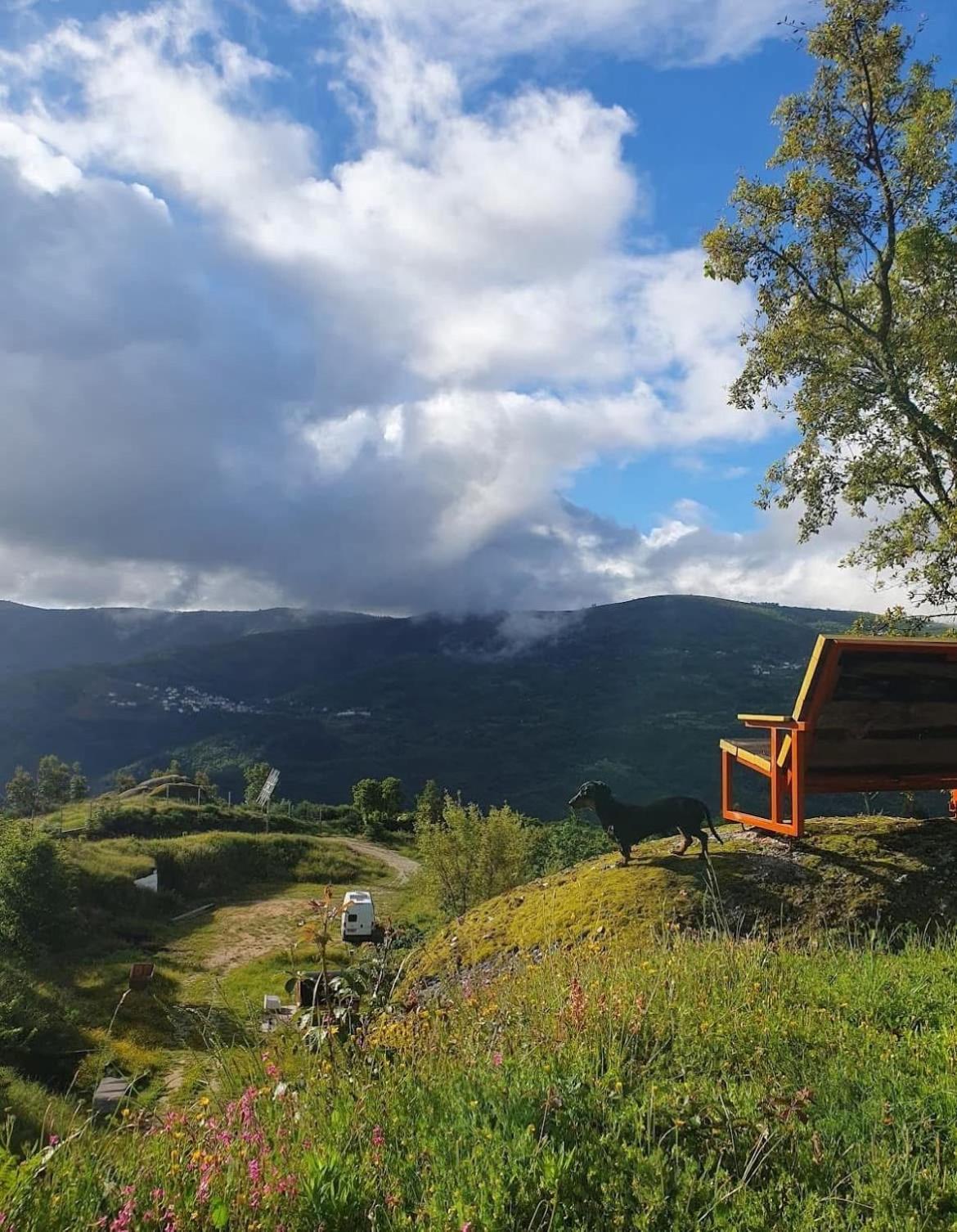 Вилла Monkey Tiny Barnhouse With Amazing Views! Folhadosa Экстерьер фото